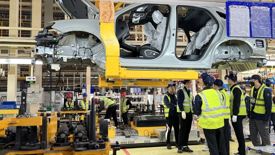 pg�齫����(�ٷ�)����IOS/��׿��/�ֻ���APP����